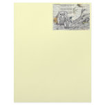 Owls 22 Letterhead