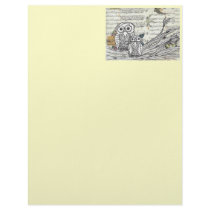 Owls 22 Letterhead