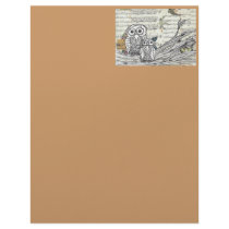 Owls 22 Letterhead