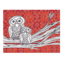 Owls 41 Postcard
