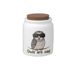 Owls are cool candy jars