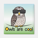 Owls are cool! fridge magnets
