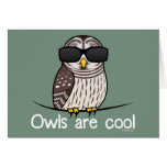 Owls are cool greeting cards