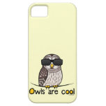 Owls are cool iPhone 5 case