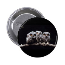 Owls Button