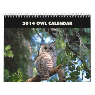 Owls Calendar 2014