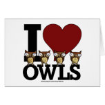 owls