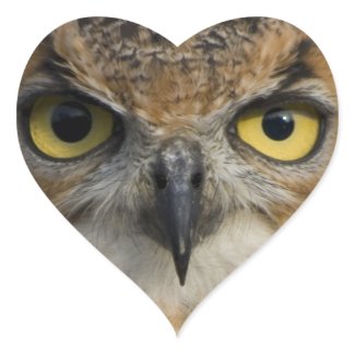 Owls Eyes Sticker