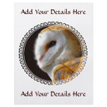 OWLS flyers