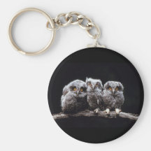 Owls Key Chain