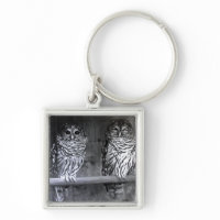 Owls keychain