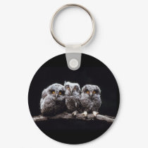 Owls keychains