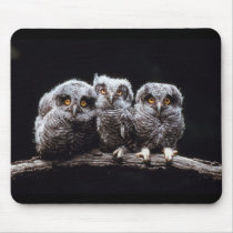 Owls Mousepad