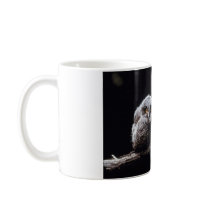 Owls mugs by animalworld Owls mugs
