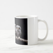 Owls Mug