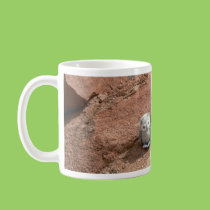 Owls on the Rocks mugs