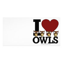 owls photo cards by worsttaste owls photo cards
