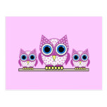owls postcard