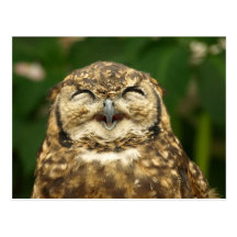 owl's smile!! :) postcards