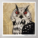 Owl's Stare print
