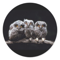 Owls stickers by animalworld Owls stickers