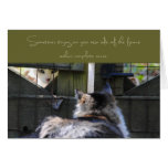 Own Side of the Fence Cats Card cards