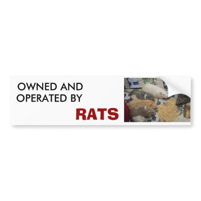 owned and operated by RATS