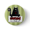 owned black cat button