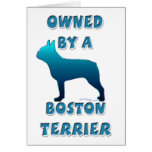 Owned by a Boston Terrier Greeting Card