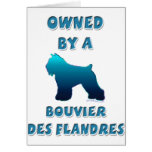 Owned by a Bouvier des Flandres cards