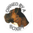 Owned by a boxer stickers!