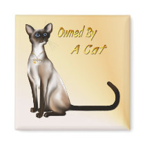Owned By A Cat Magnet magnets