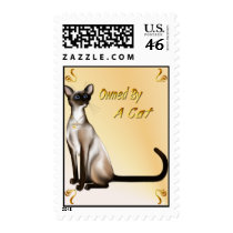 Owned By A Cat Postage postage