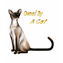 Owned By A Cat T-Shirt