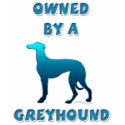 Owned by a Greyhound shirt