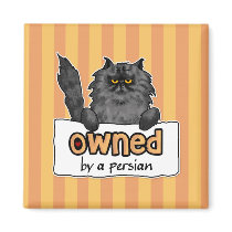 owned by a persian magnets by cfkaatje owned by a persian magnets