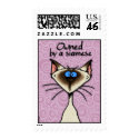owned by a siamese postage