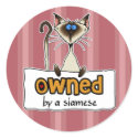 owned by a siamese stickers