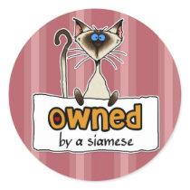 owned by a siamese stickers by cfkaatje owned by a siamese stickers