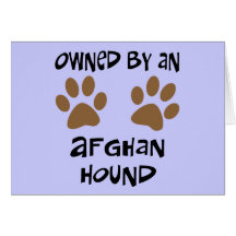 Owned By An Afghan Hound Cards