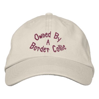 Owned By Border Collie Embroidered Baseball Cap by SmilinEyesTreasures