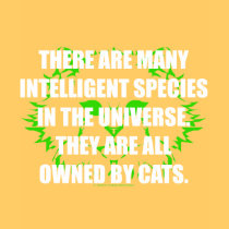 Owned by Cats t-shirts