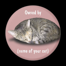 Owned by (name of your cat) magnets