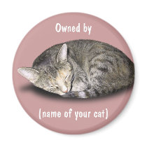 Owned by (name of your cat) fridge magnet