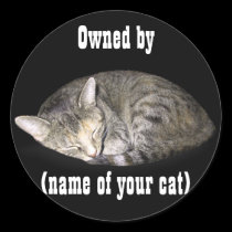 Owned by (name of your cat) stickers
