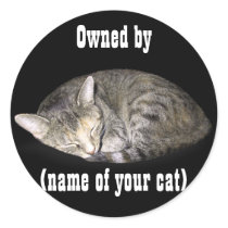 Owned by (name of your cat) round stickers