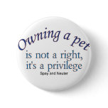 owning a pet button