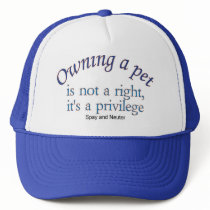 owning a pet hat