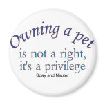 owning a pet magnet