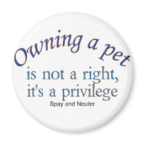 owning a pet magnet
